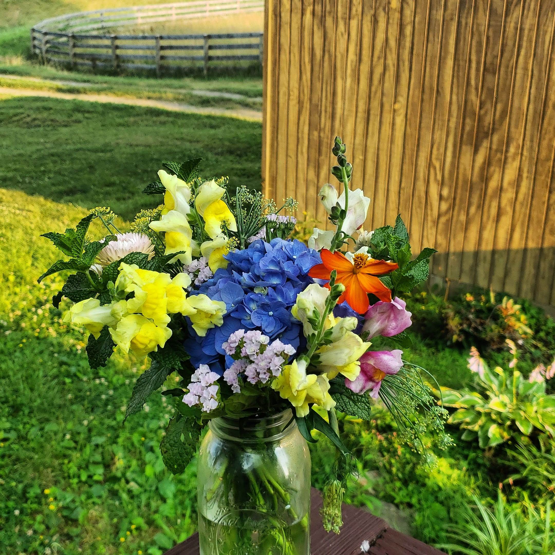 Family Uproot Blooms